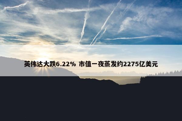 英伟达大跌6.22% 市值一夜蒸发约2275亿美元