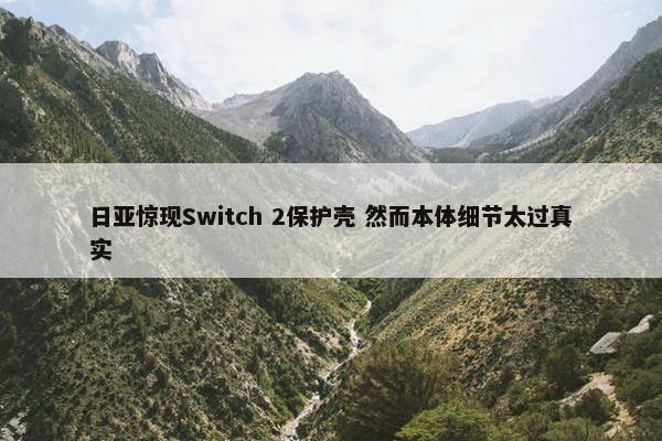 日亚惊现Switch 2保护壳 然而本体细节太过真实