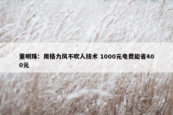 董明珠：用格力风不吹人技术 1000元电费能省400元