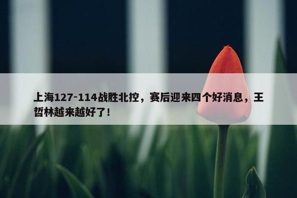 上海127-114战胜北控，赛后迎来四个好消息，王哲林越来越好了！