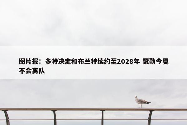 图片报：多特决定和布兰特续约至2028年 聚勒今夏不会离队