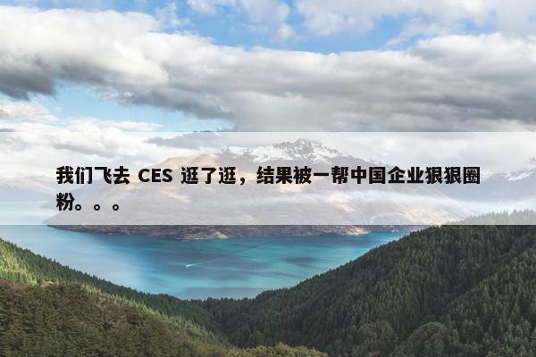 我们飞去 CES 逛了逛，结果被一帮中国企业狠狠圈粉。。。