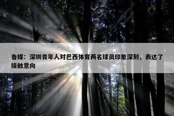 鲁媒：深圳青年人对巴西体育两名球员印象深刻，表达了接触意向