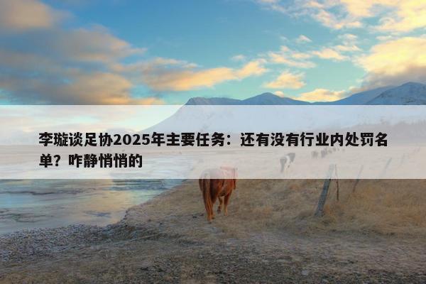 李璇谈足协2025年主要任务：还有没有行业内处罚名单？咋静悄悄的