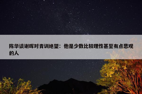 陈华谈谢晖对青训绝望：他是少数比较理性甚至有点悲观的人