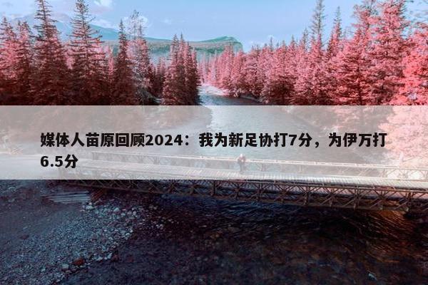 媒体人苗原回顾2024：我为新足协打7分，为伊万打6.5分