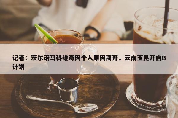 记者：茨尔诺马科维奇因个人原因离开，云南玉昆开启B计划