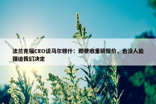 法兰克福CEO谈马尔穆什：即使收重磅报价，也没人能强迫我们决定