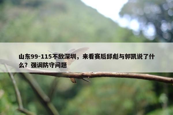 山东99-115不敌深圳，来看赛后邱彪与郭凯说了什么？强调防守问题