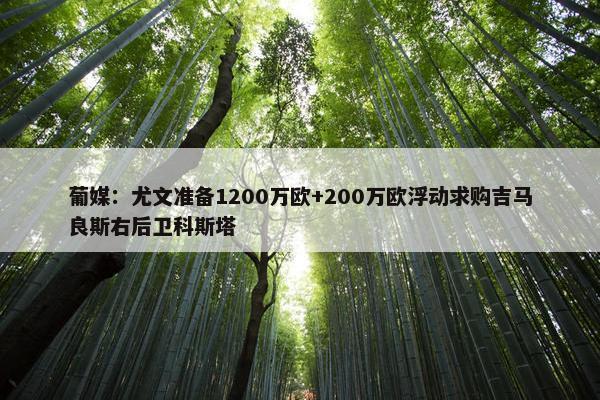 葡媒：尤文准备1200万欧+200万欧浮动求购吉马良斯右后卫科斯塔