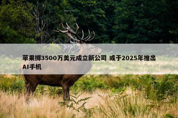 苹果掷3500万美元成立新公司 或于2025年推出AI手机