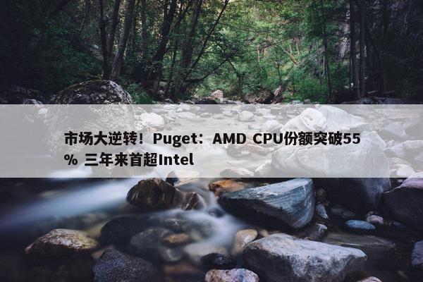 市场大逆转！Puget：AMD CPU份额突破55% 三年来首超Intel