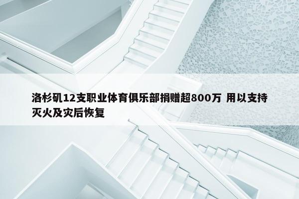 洛杉矶12支职业体育俱乐部捐赠超800万 用以支持灭火及灾后恢复