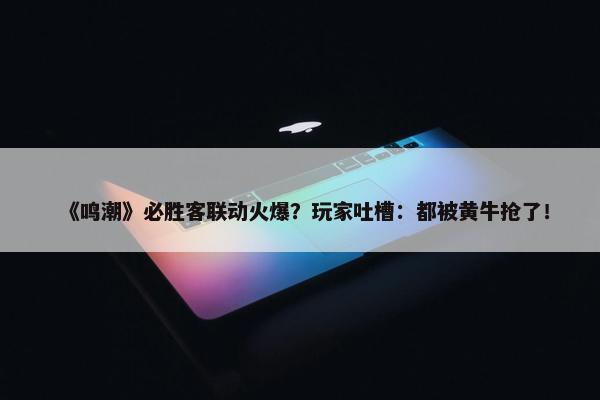 《鸣潮》必胜客联动火爆？玩家吐槽：都被黄牛抢了！