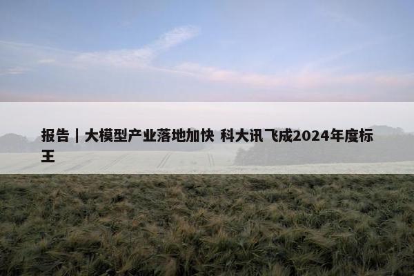 报告｜大模型产业落地加快 科大讯飞成2024年度标王