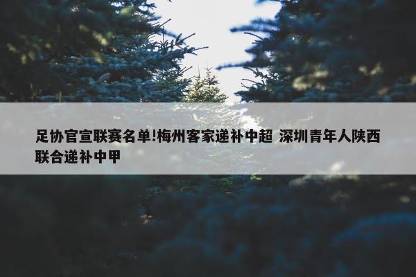 足协官宣联赛名单!梅州客家递补中超 深圳青年人陕西联合递补中甲