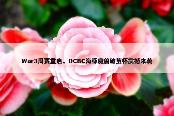 War3周赛重启，DCBC海豚魔兽破茧杯震撼来袭