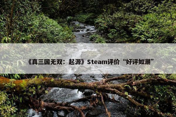 《真三国无双：起源》Steam评价“好评如潮”