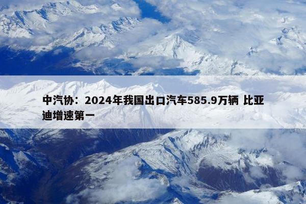 中汽协：2024年我国出口汽车585.9万辆 比亚迪增速第一