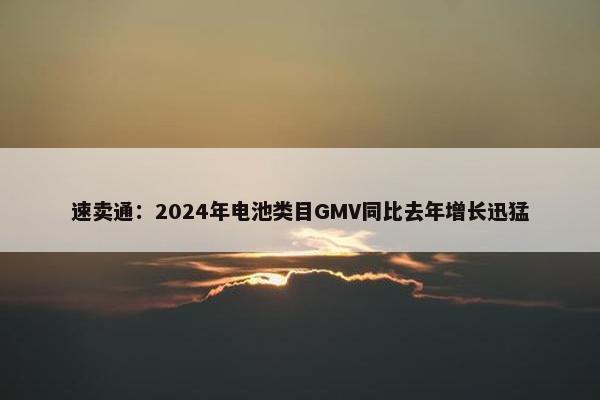 速卖通：2024年电池类目GMV同比去年增长迅猛