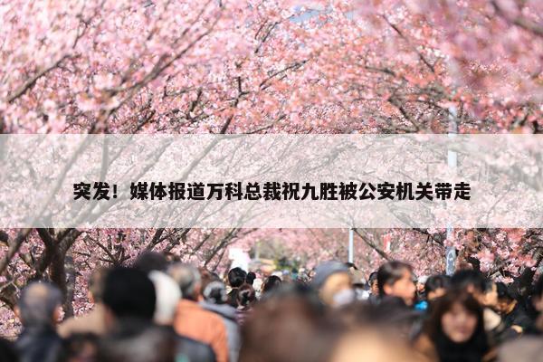 突发！媒体报道万科总裁祝九胜被公安机关带走