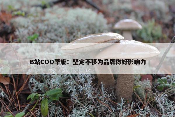 B站COO李旎：坚定不移为品牌做好影响力