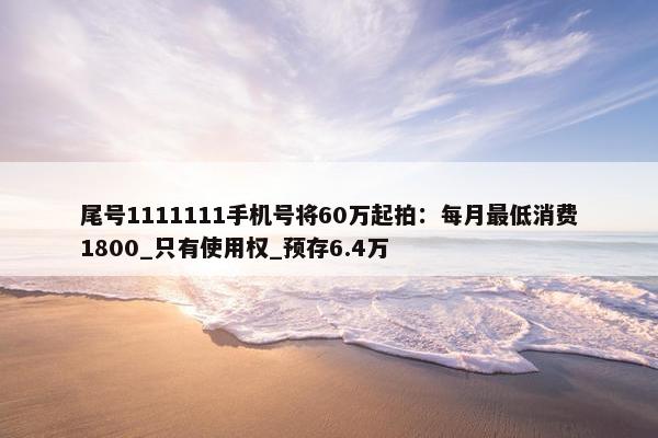 尾号1111111手机号将60万起拍：每月最低消费1800_只有使用权_预存6.4万