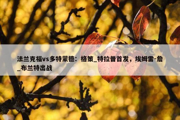 法兰克福vs多特蒙德：格策_特拉普首发，埃姆雷-詹_布兰特出战