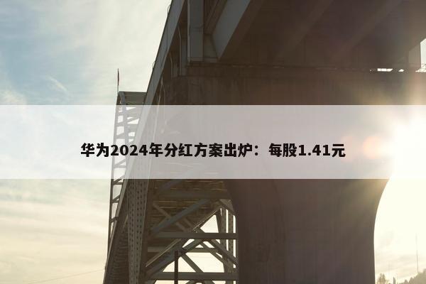 华为2024年分红方案出炉：每股1.41元