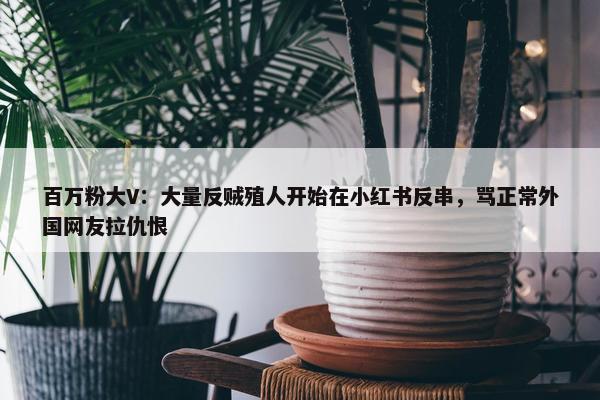 百万粉大V：大量反贼殖人开始在小红书反串，骂正常外国网友拉仇恨