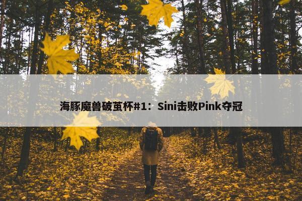 海豚魔兽破茧杯#1：Sini击败Pink夺冠