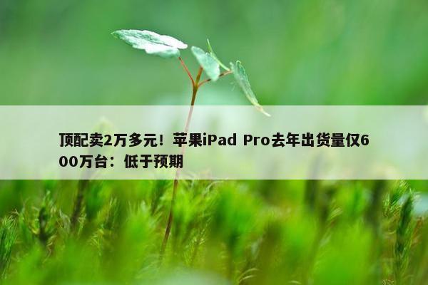 顶配卖2万多元！苹果iPad Pro去年出货量仅600万台：低于预期