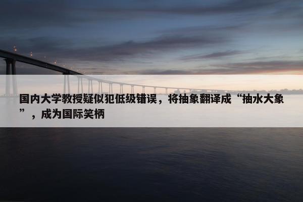 国内大学教授疑似犯低级错误，将抽象翻译成“抽水大象”，成为国际笑柄