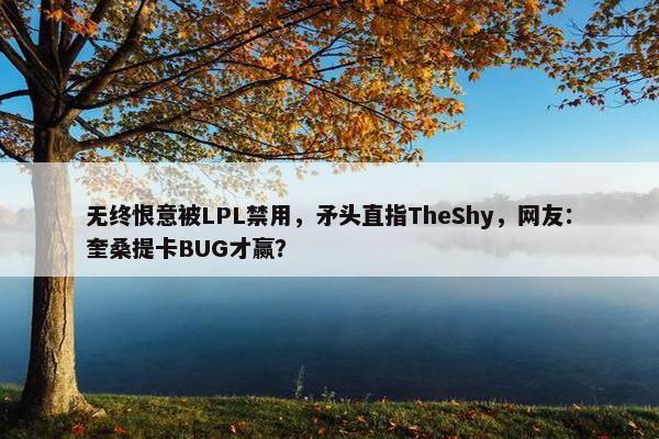 无终恨意被LPL禁用，矛头直指TheShy，网友：奎桑提卡BUG才赢？