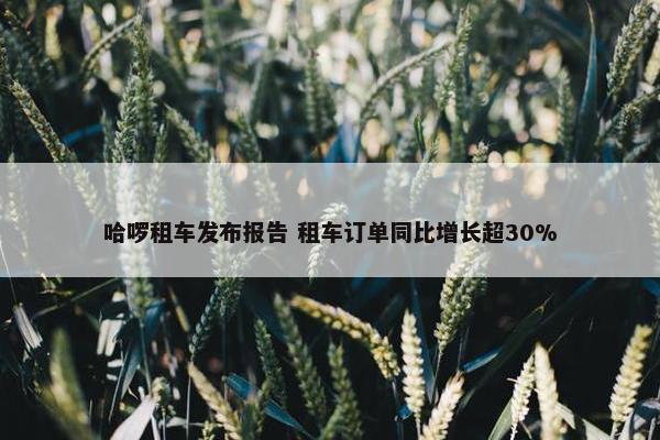 哈啰租车发布报告 租车订单同比增长超30%