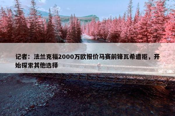 记者：法兰克福2000万欧报价马赛前锋瓦希遭拒，开始探索其他选择