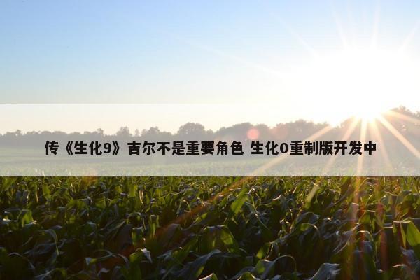 传《生化9》吉尔不是重要角色 生化0重制版开发中