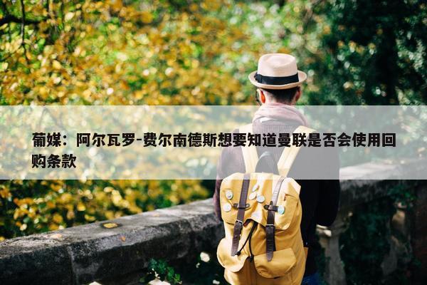 葡媒：阿尔瓦罗-费尔南德斯想要知道曼联是否会使用回购条款