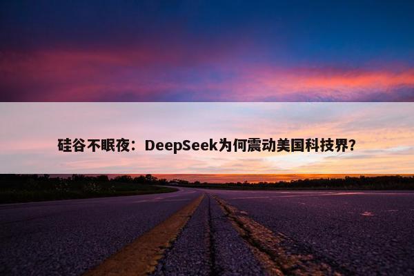 硅谷不眠夜：DeepSeek为何震动美国科技界？