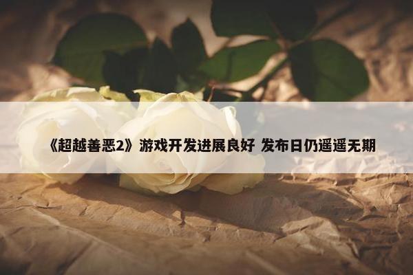 《超越善恶2》游戏开发进展良好 发布日仍遥遥无期