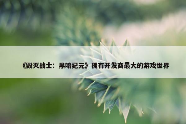 《毁灭战士：黑暗纪元》拥有开发商最大的游戏世界