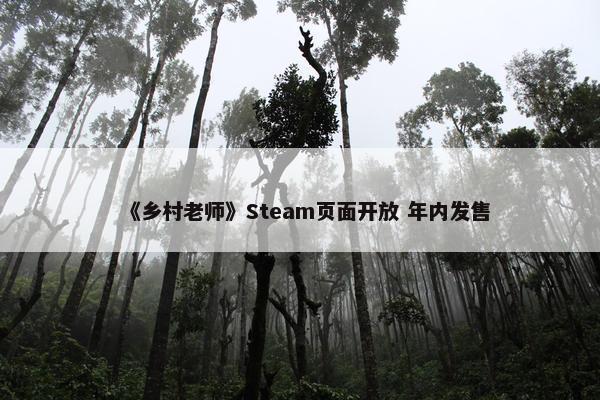 《乡村老师》Steam页面开放 年内发售