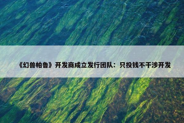 《幻兽帕鲁》开发商成立发行团队：只投钱不干涉开发