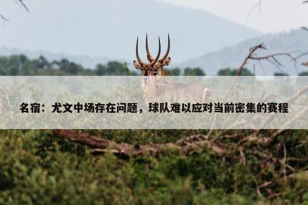 名宿：尤文中场存在问题，球队难以应对当前密集的赛程