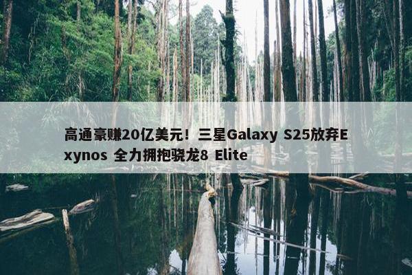 高通豪赚20亿美元！三星Galaxy S25放弃Exynos 全力拥抱骁龙8 Elite