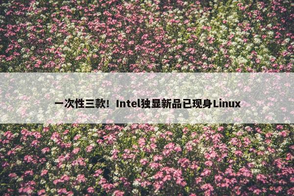 一次性三款！Intel独显新品已现身Linux