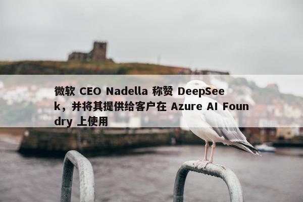 微软 CEO Nadella 称赞 DeepSeek，并将其提供给客户在 Azure AI Foundry 上使用