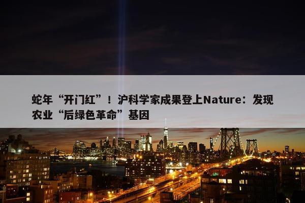 蛇年“开门红”！沪科学家成果登上Nature：发现农业“后绿色革命”基因