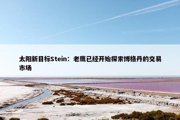 太阳新目标Stein：老鹰已经开始探索博格丹的交易市场