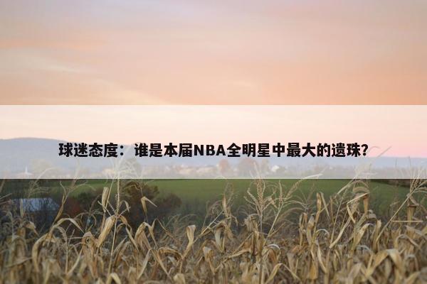 球迷态度：谁是本届NBA全明星中最大的遗珠？